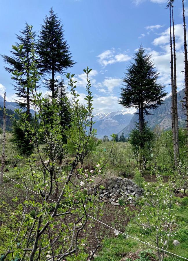 Getaway Stays Manali 外观 照片