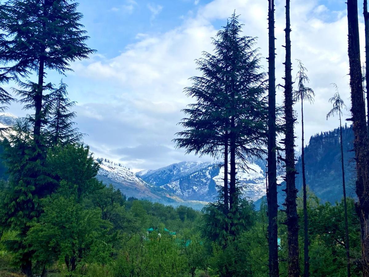 Getaway Stays Manali 外观 照片